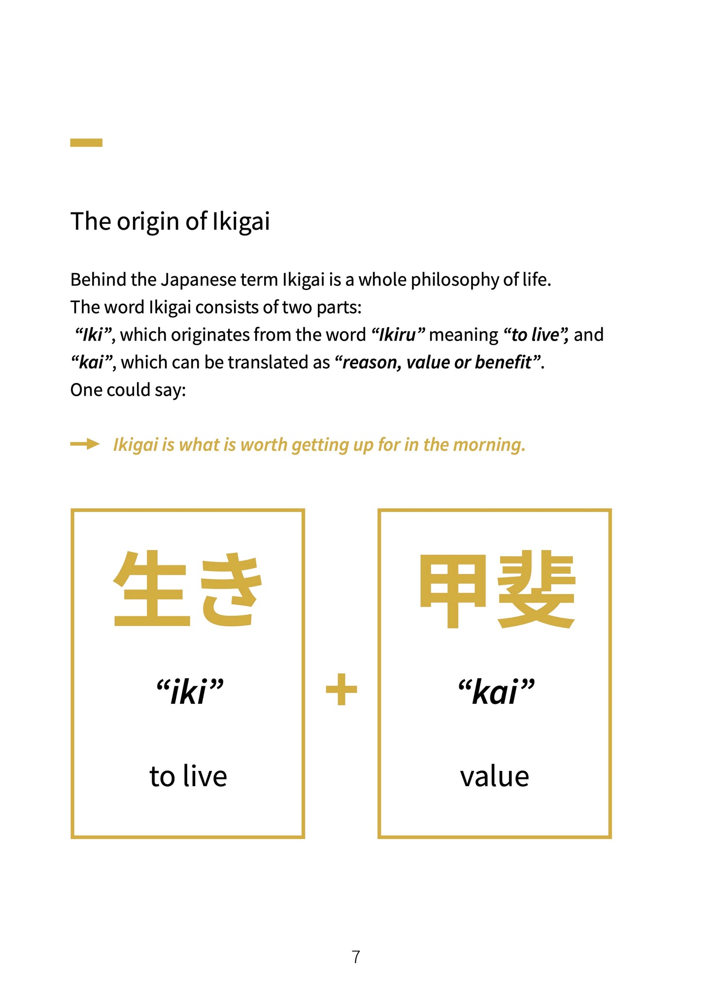 IKIGAI E-Books – Tun ist Gold – Entscheidungen für deine Zukunft plus Audiokurs