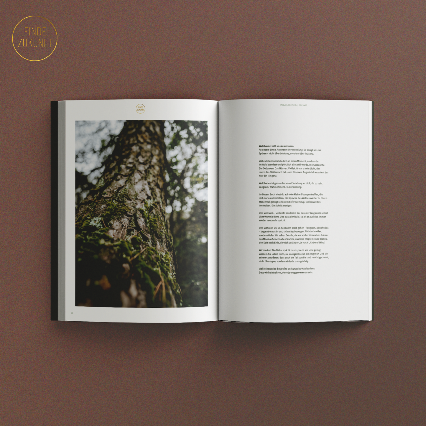 IKIGAI & Waldbaden E-Book