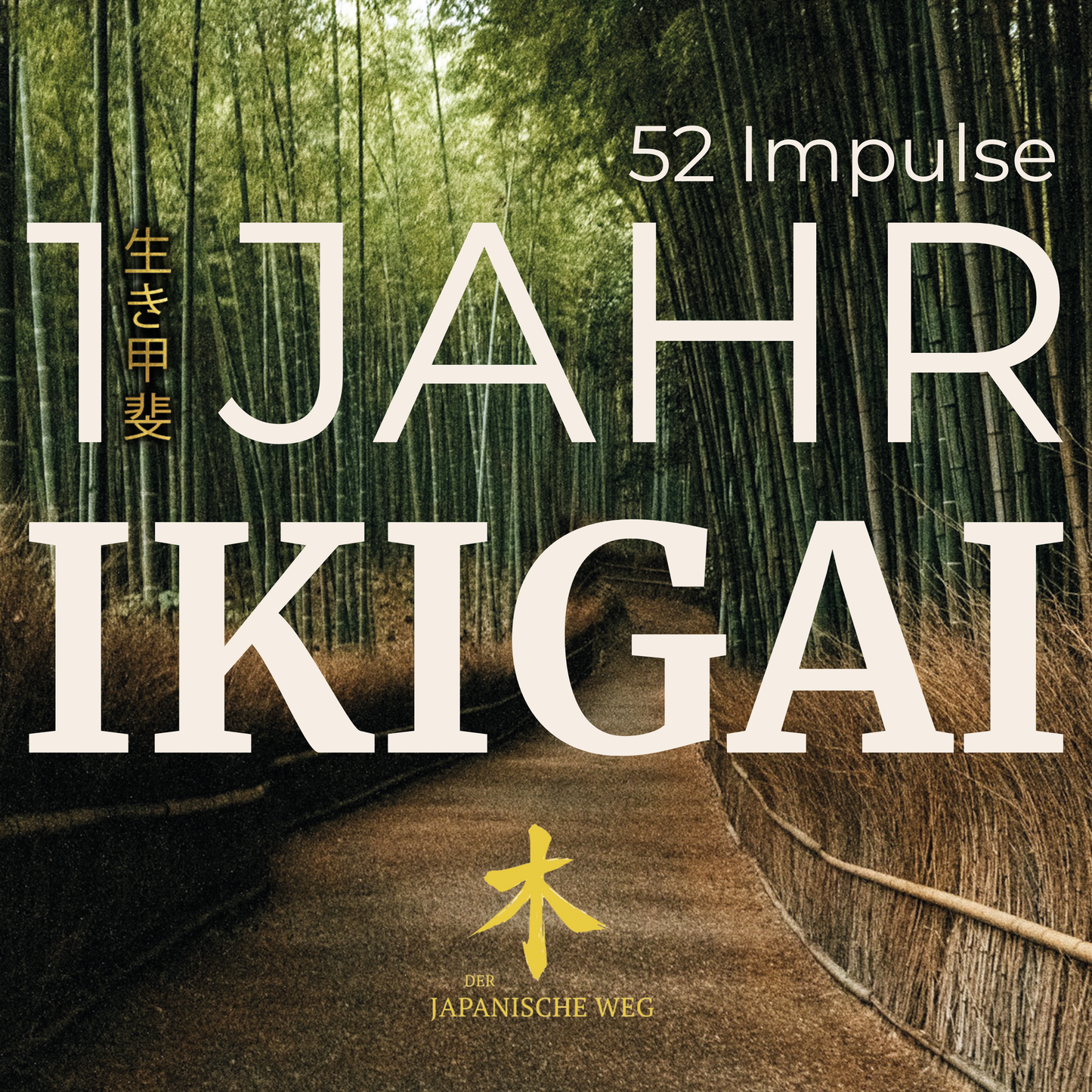 1 Jahr IKIGAI – 52 Impulse für dich
