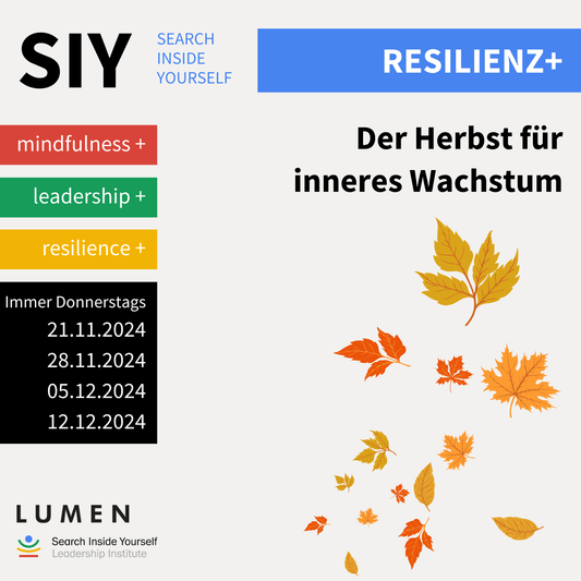 Achtsamkeit, Stressbewältigung und Resilienz November 2024 – Online Live Kurs §20 V SGB - Finde - Zukunft Shop