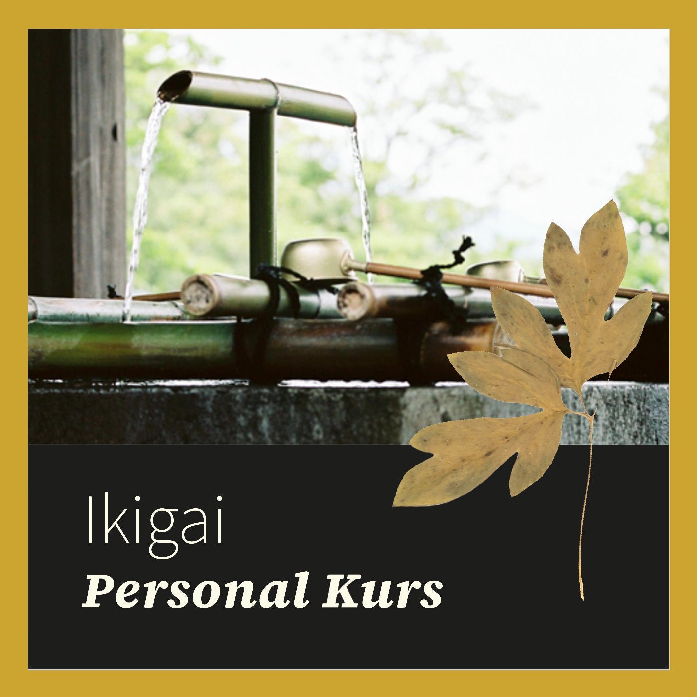 Ikigai Live Kurs – Personal – 27. September 2024 - Finde - Zukunft Shop