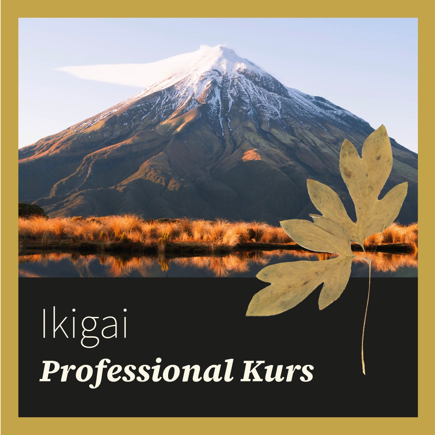 Ikigai Live Kurs – Professional – 27. September 2024 - Finde - Zukunft Shop