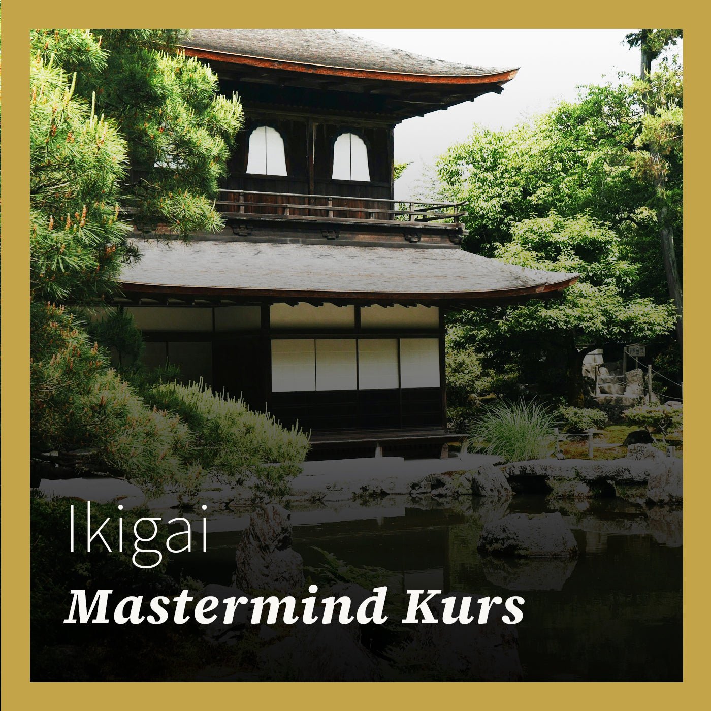 Ikigai Mastermind – Live Kurs - Finde-Zukunft Shop