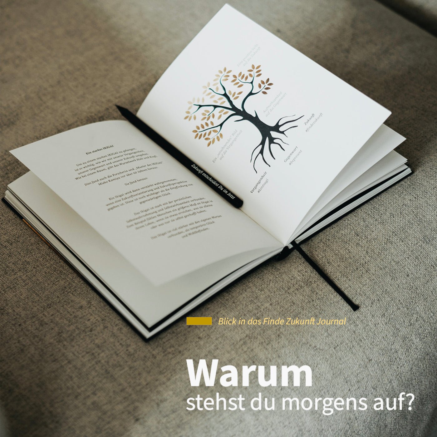 Ikigai Buch & Finde Zukunft Journal im Dreierpack - Finde-Zukunft Shop